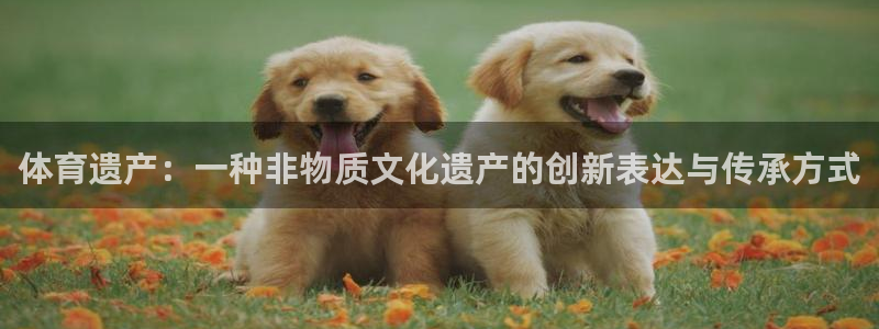 体育遗产：一种非物质文化遗产的创新表达与传承方式