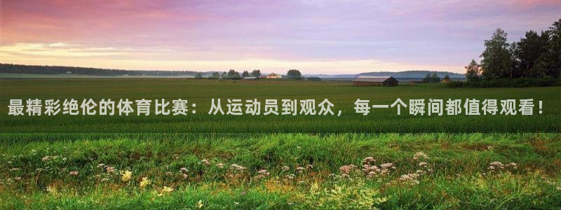 最精彩绝伦的体育比赛：从运动员到观众，每一个瞬间都值得观看！
