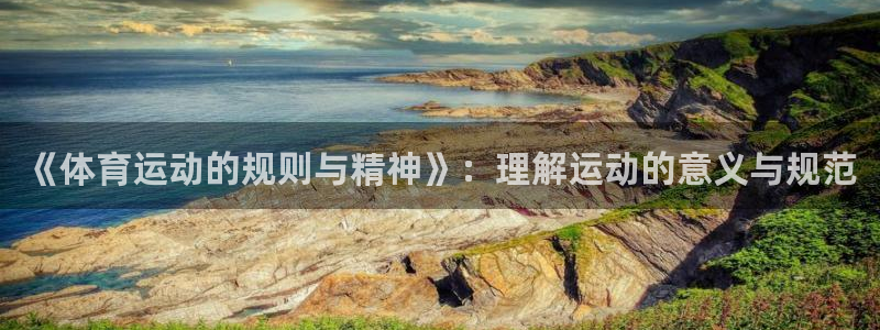 《体育运动的规则与精神》：理解运动的意义与规范