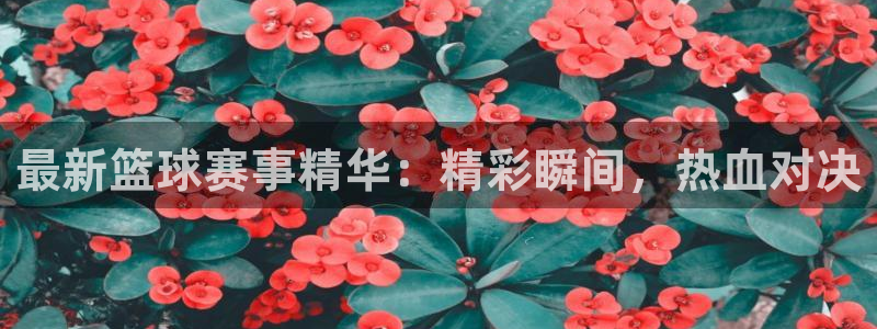 新闻图片