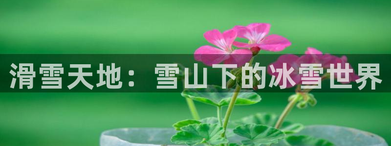 新闻图片