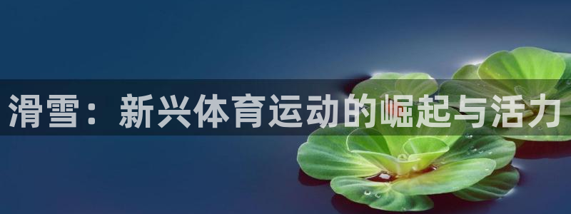 新闻图片